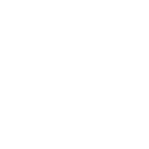 The Classic Strategy Co.